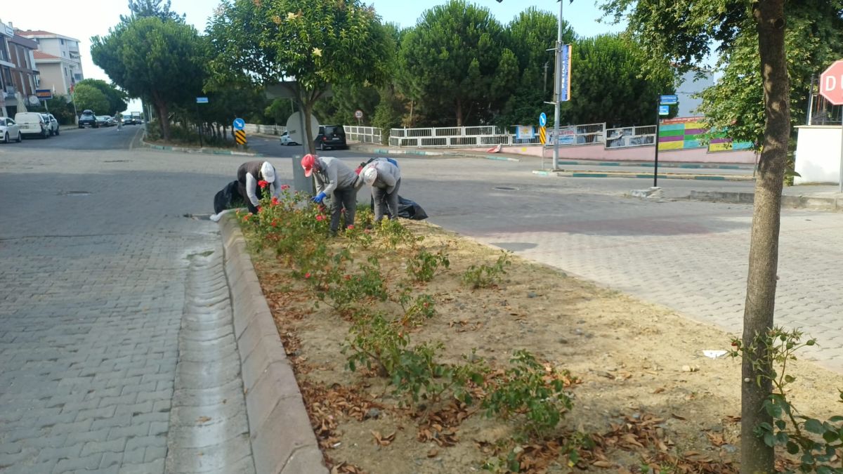 Park Revizyon ve Çevre Düzenleme