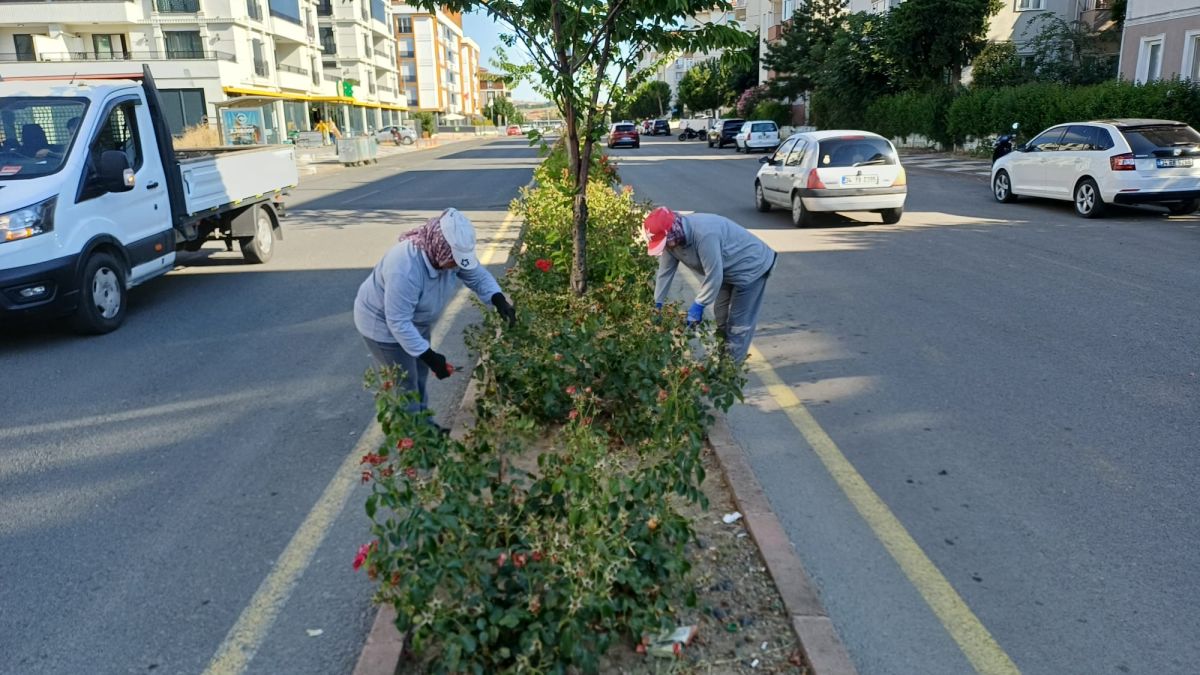 Park Revizyon ve Çevre Düzenleme
