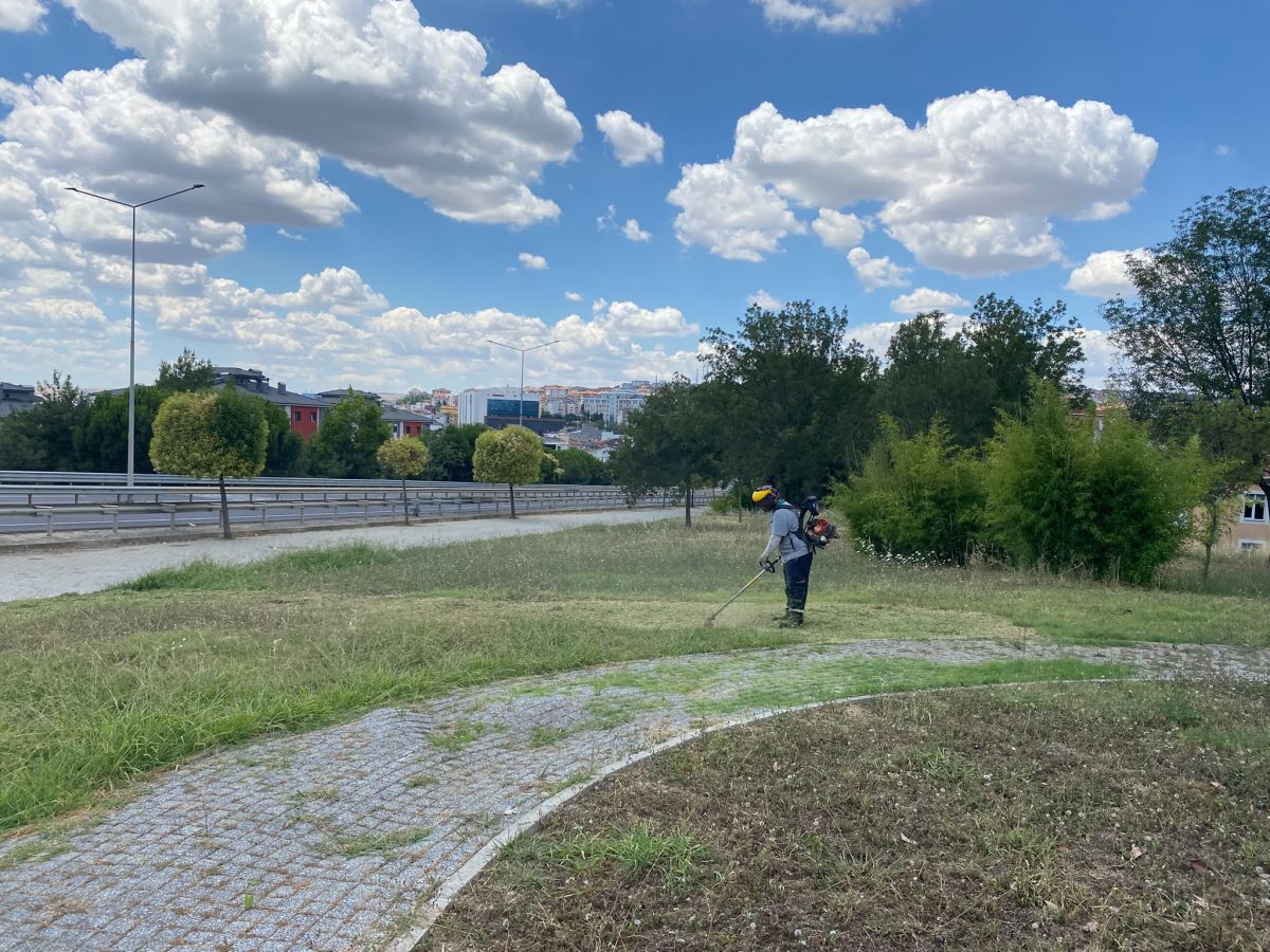 Park Revizyon ve Çevre Düzenleme