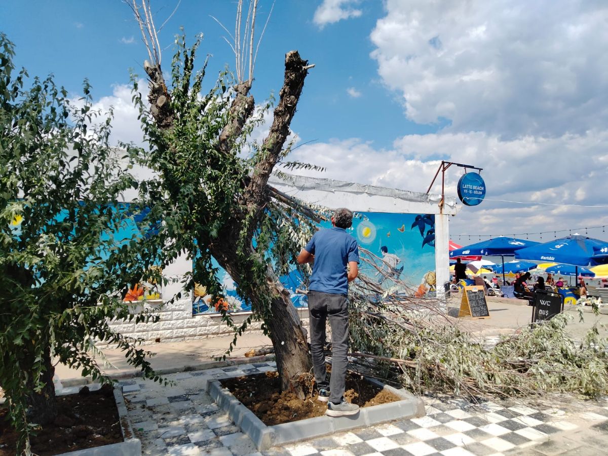 Park Revizyon ve Çevre Düzenleme