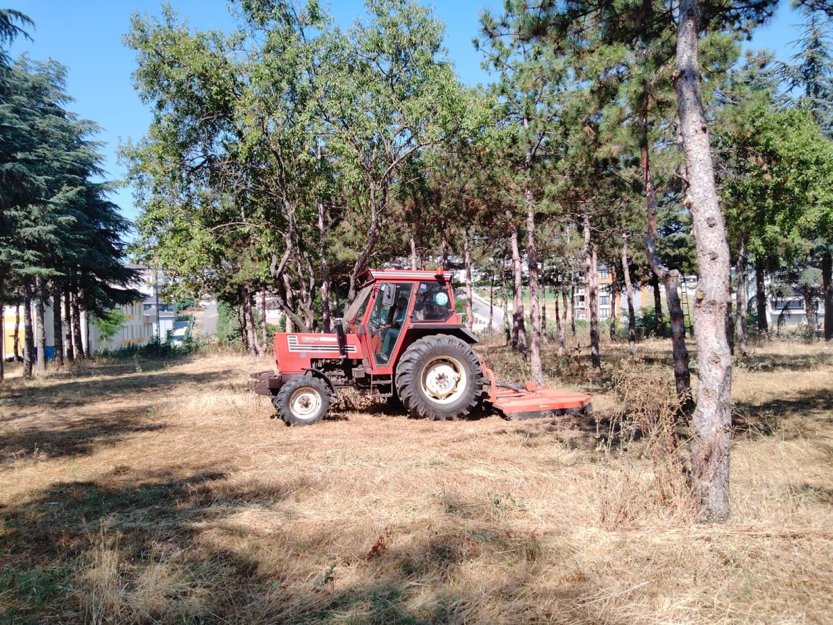 Park Revizyon ve Çevre Düzenleme