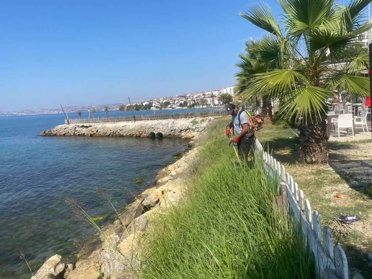 Park Revizyon ve Çevre Düzenleme