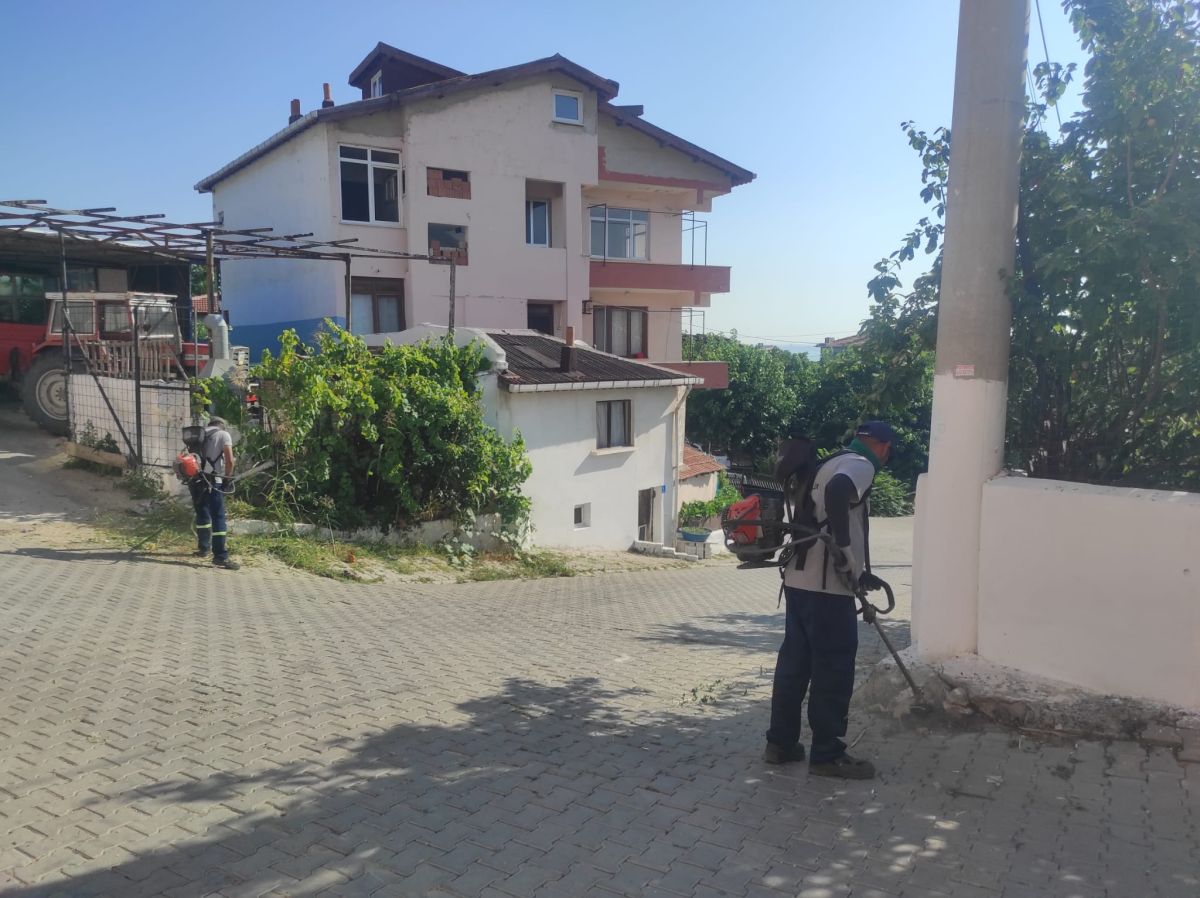 Park Revizyon ve Çevre Düzenleme