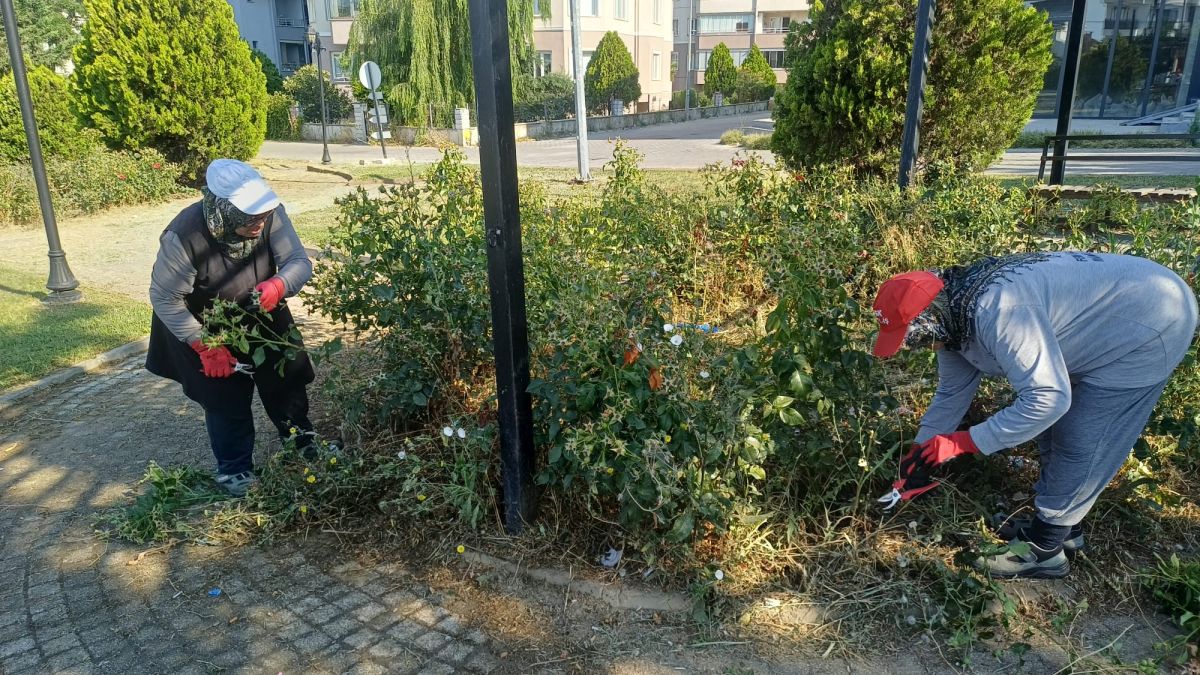 Park Revizyon ve Çevre Düzenleme