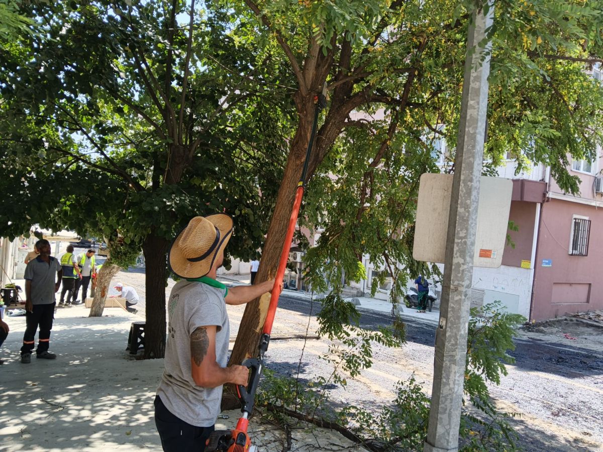 Park Revizyon ve Çevre Düzenleme