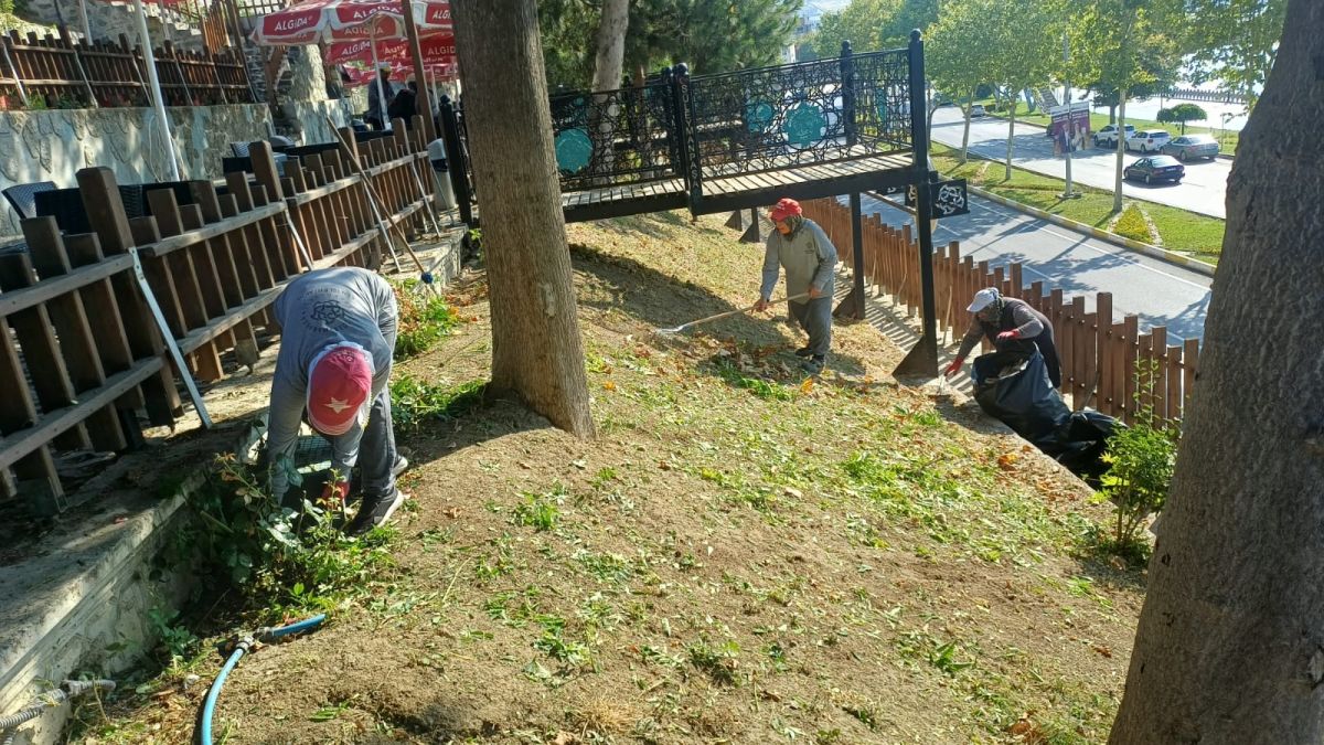 Park Revizyon ve Çevre Düzenleme