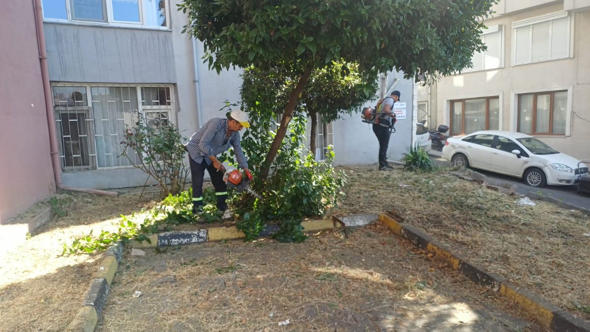 Park Revizyon ve Çevre Düzenleme
