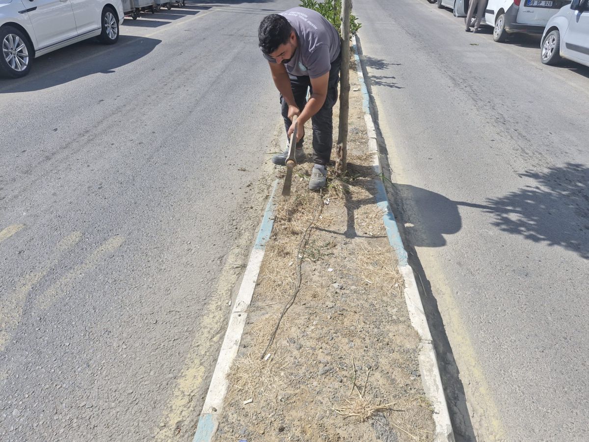Genel Elektrik Çalışmaları
