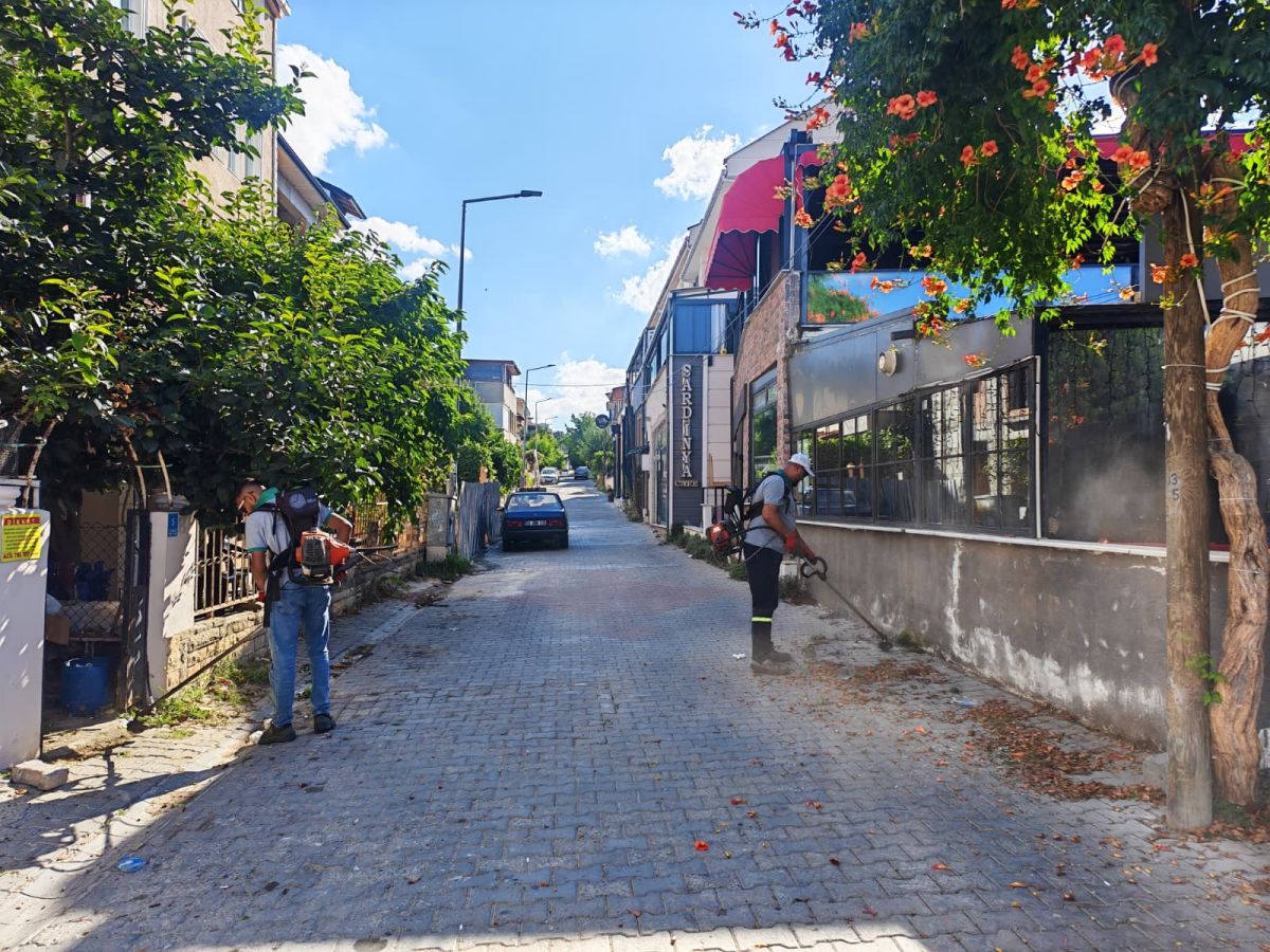 Park Revizyon ve Çevre Düzenleme