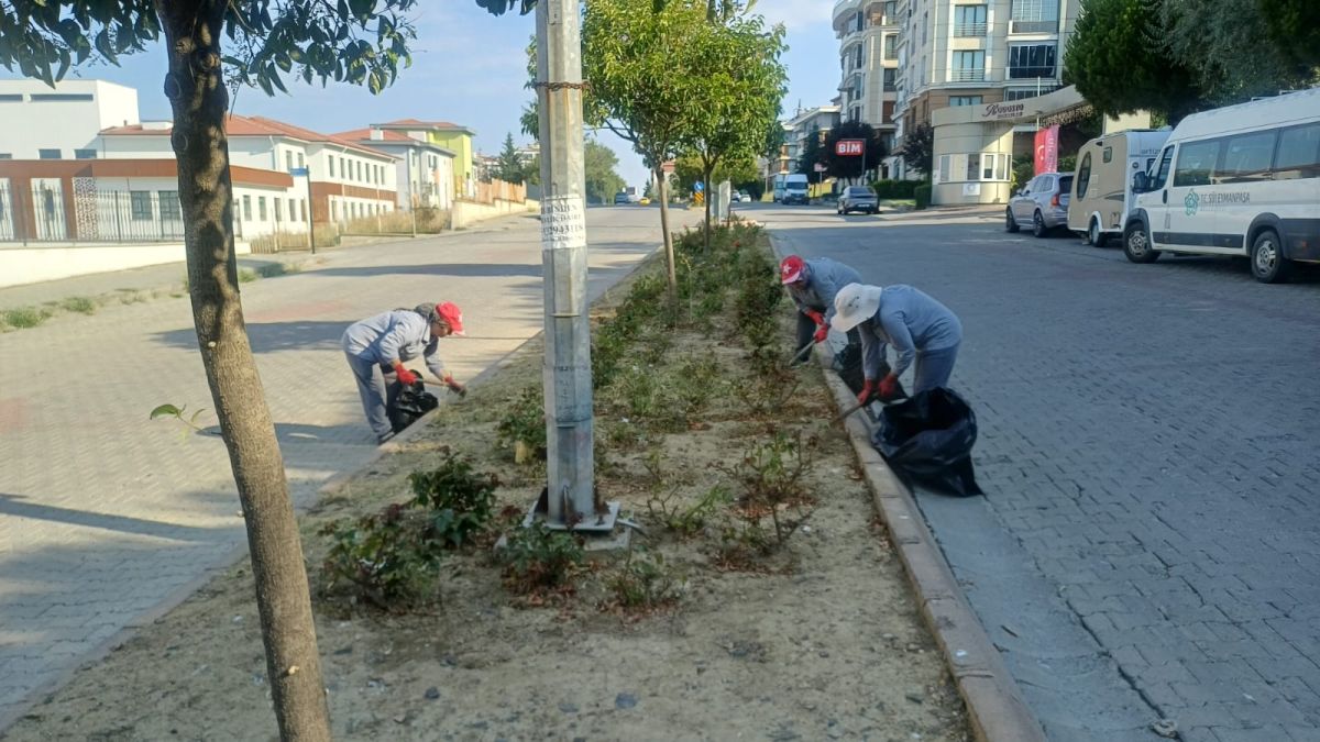 Park Revizyon ve Çevre Düzenleme