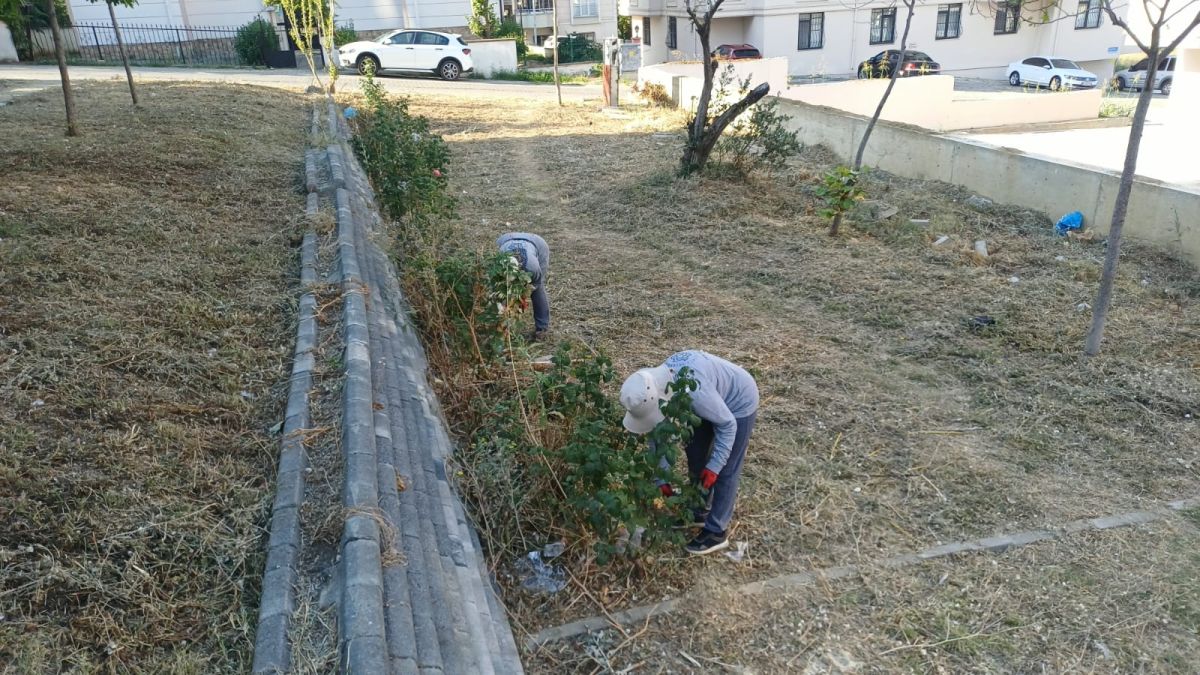 Park Revizyon ve Çevre Düzenleme