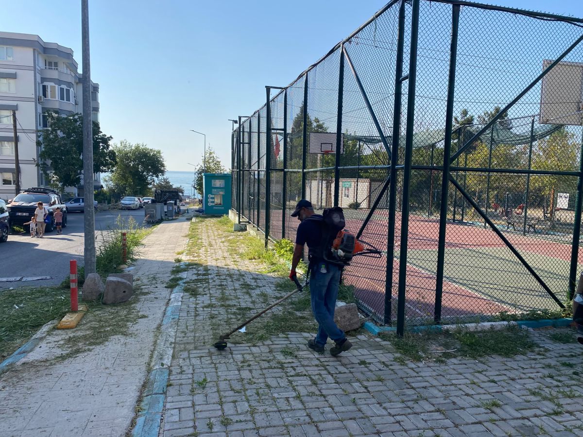 Park Revizyon ve Çevre Düzenleme