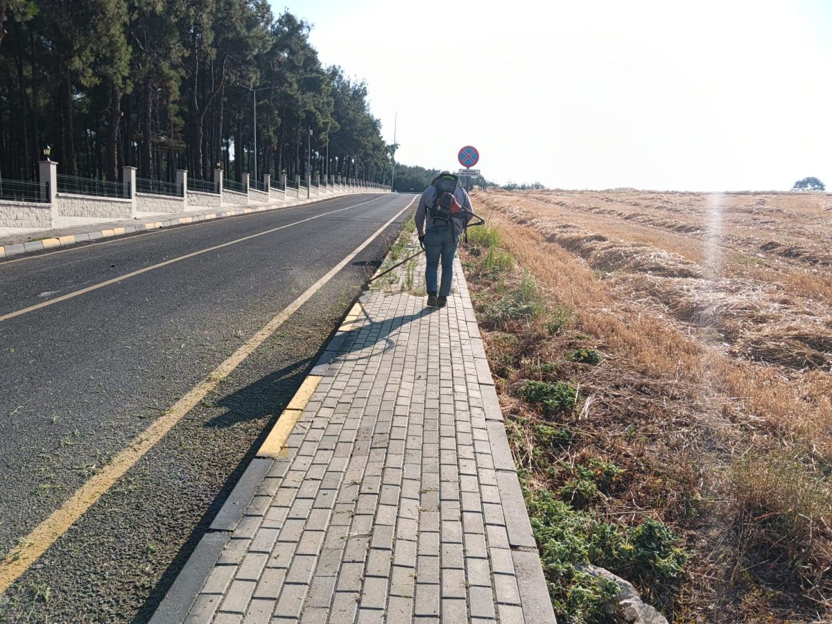 Park Revizyon ve Çevre Düzenleme