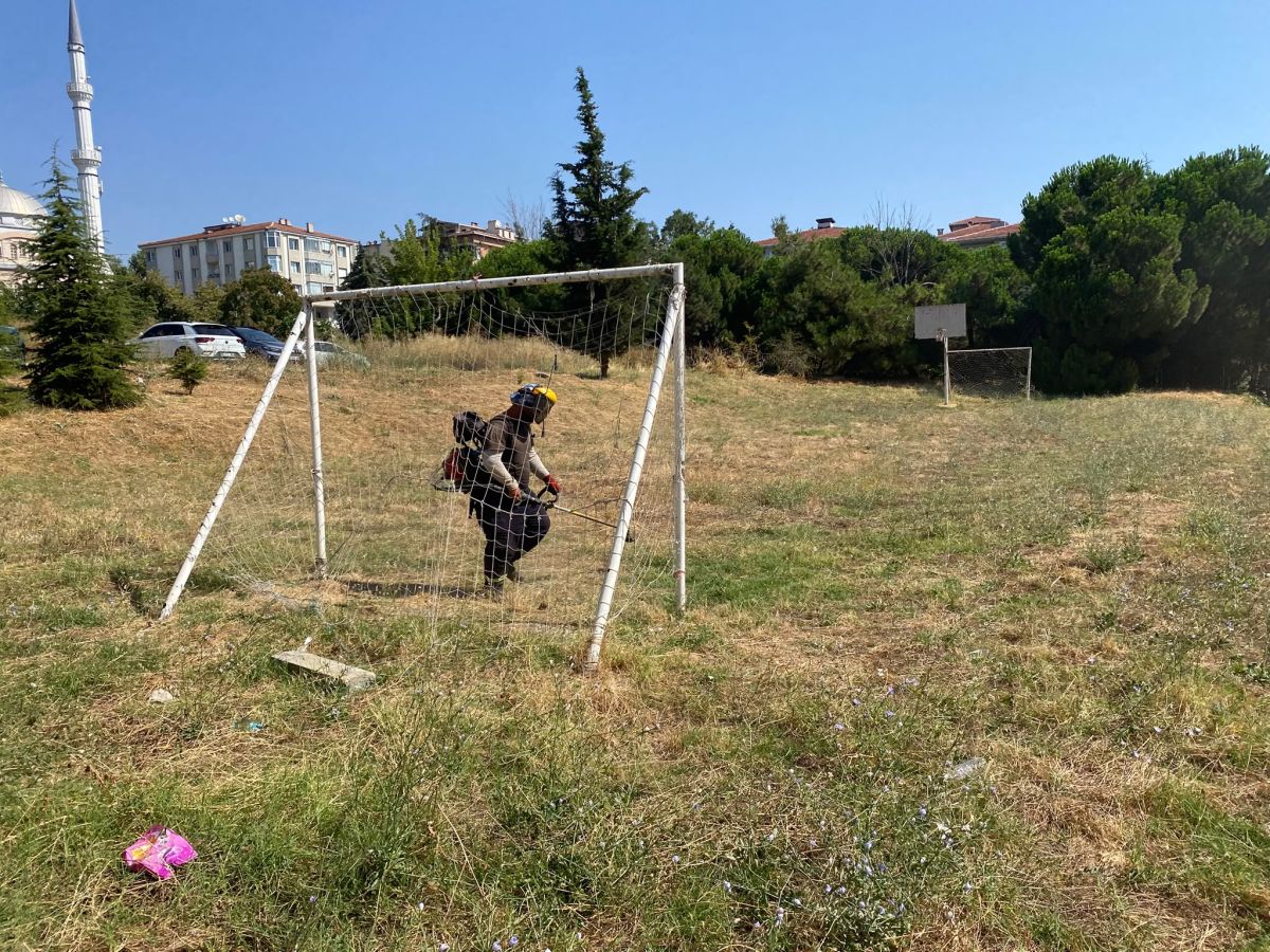 Park Revizyon ve Çevre Düzenleme