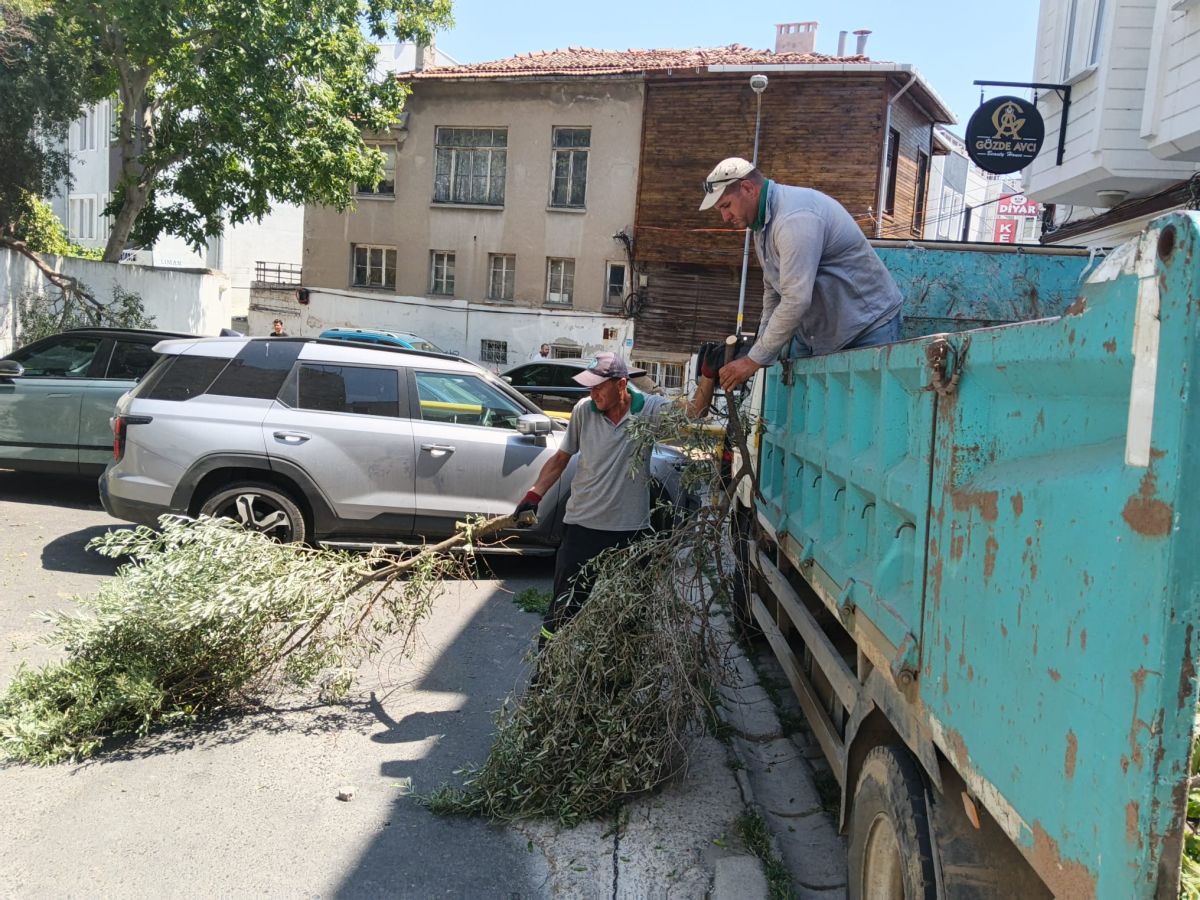Park Revizyon ve Çevre Düzenleme