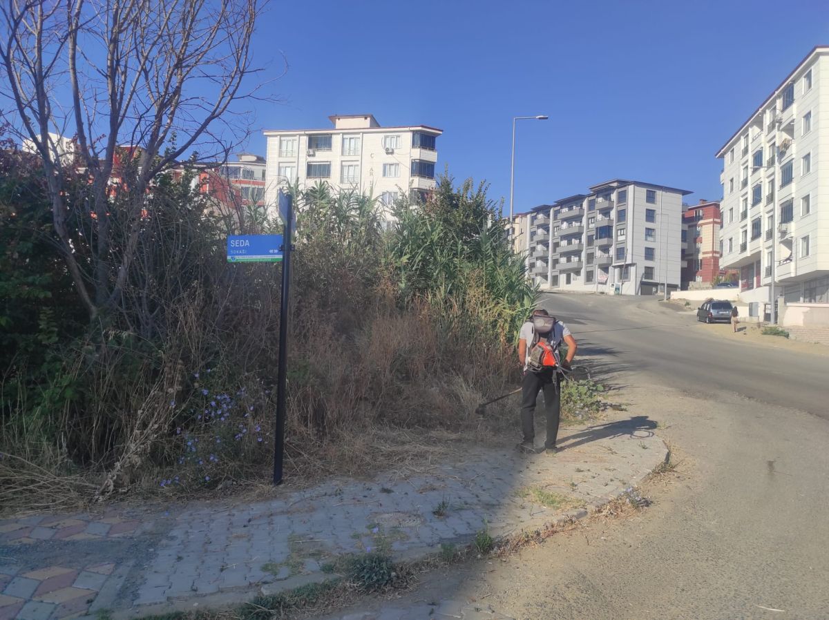 Park Revizyon ve Çevre Düzenleme