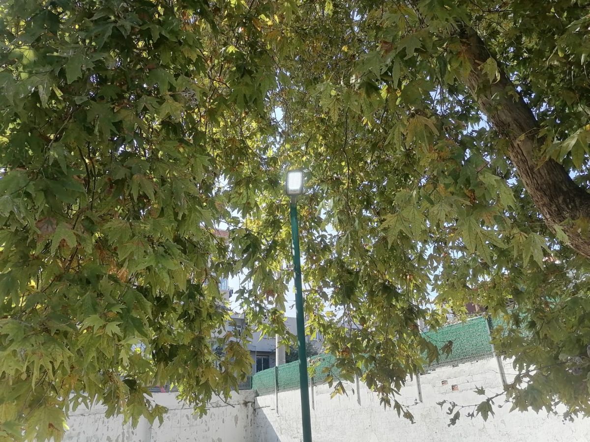 Park Revizyon ve Çevre Düzenleme