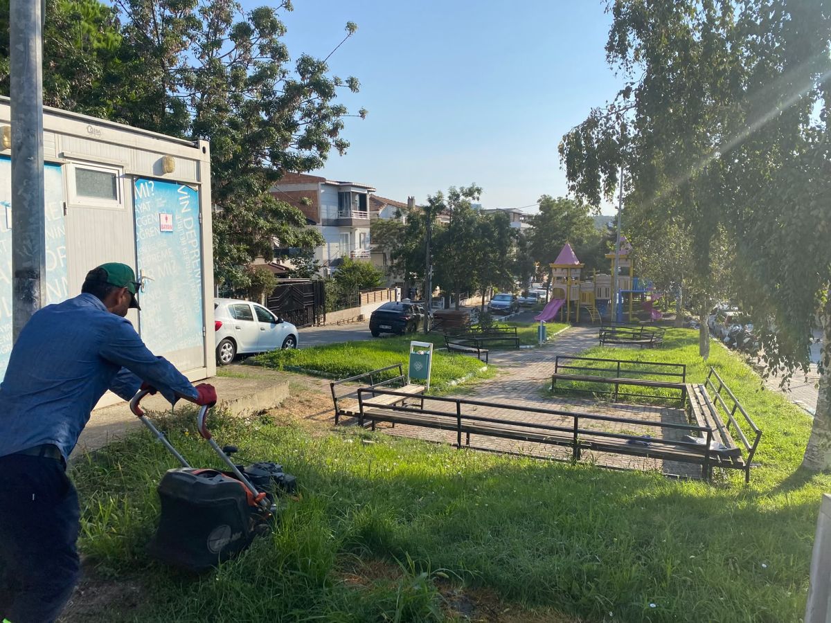 Park Revizyon ve Çevre Düzenleme