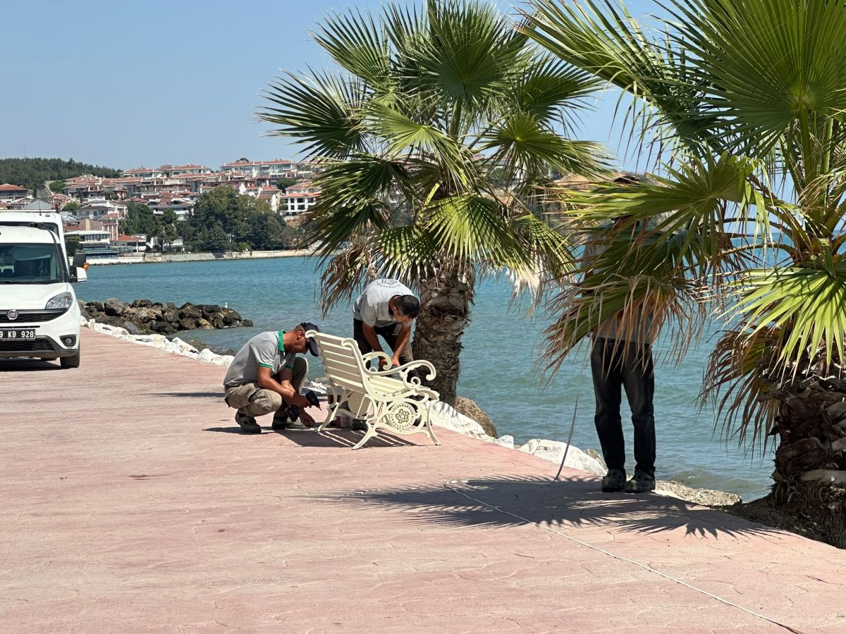 Park Revizyon ve Çevre Düzenleme