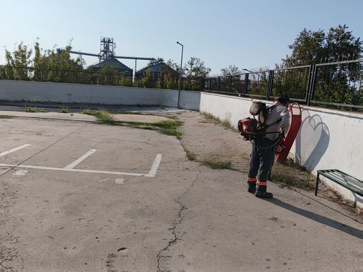 Park Revizyon ve Çevre Düzenleme