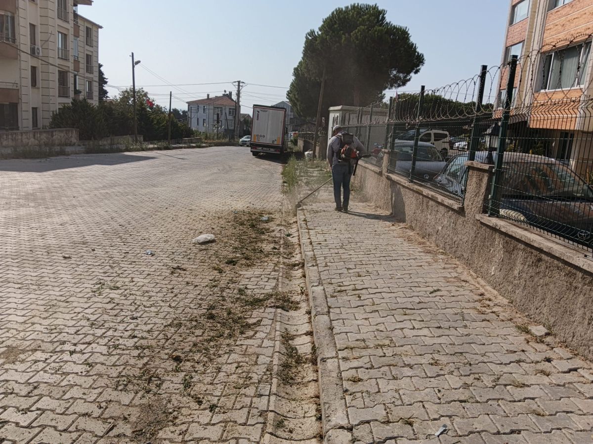 Park Revizyon ve Çevre Düzenleme