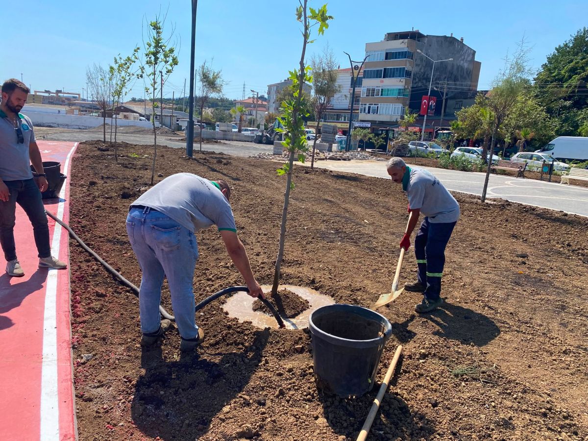 Park Revizyon ve Çevre Düzenleme