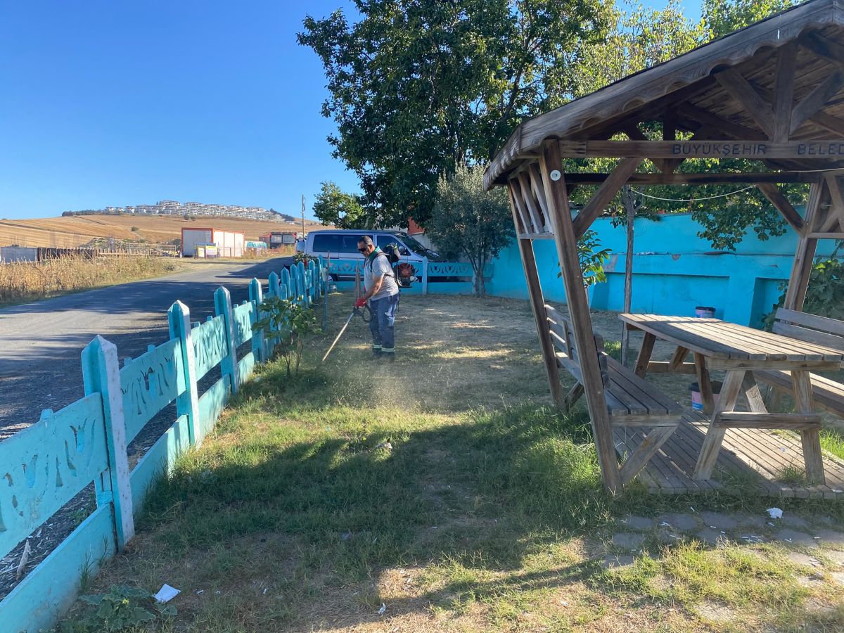 Park Revizyon ve Çevre Düzenleme
