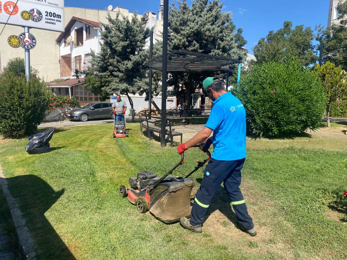 Park Revizyon ve Çevre Düzenleme
