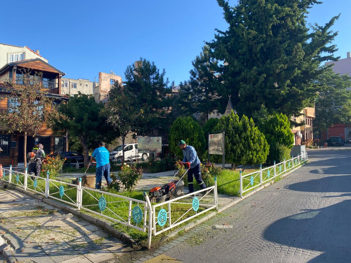 Park Revizyon ve Çevre Düzenleme