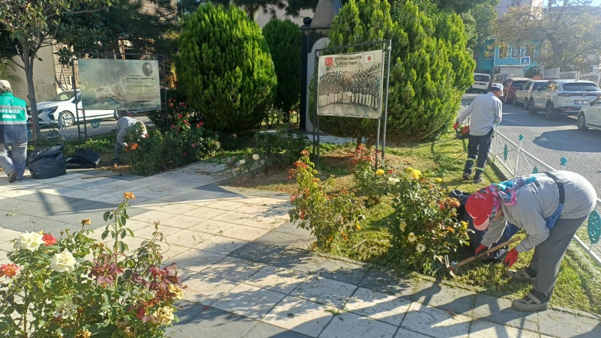 Park Revizyon ve Çevre Düzenleme