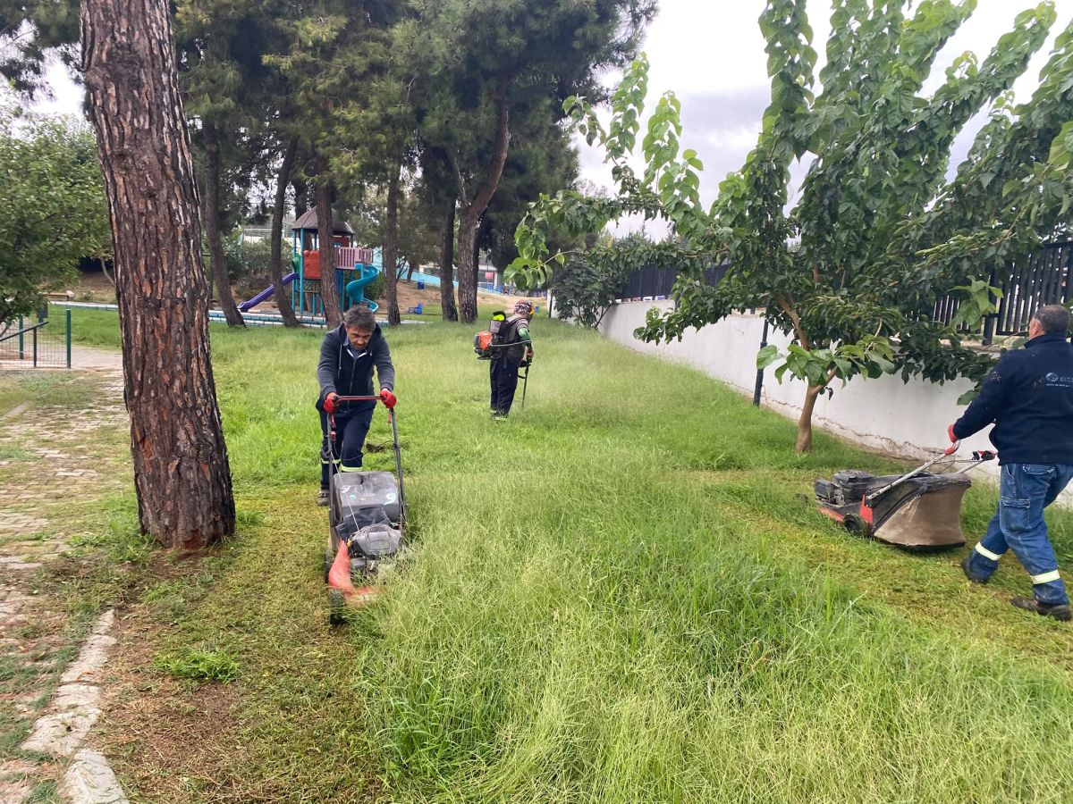 Park Revizyon ve Çevre Düzenleme