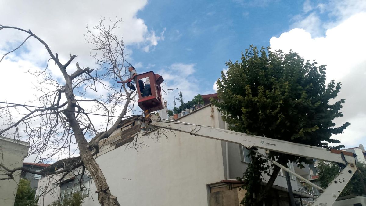 Park Revizyon ve Çevre Düzenleme
