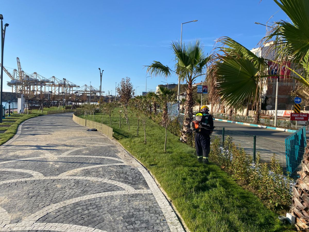 Park Revizyon ve Çevre Düzenleme