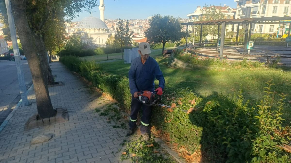 Park Revizyon ve Çevre Düzenleme