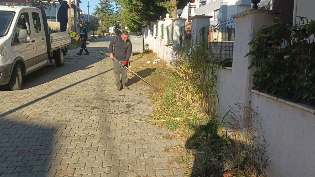 Park Revizyon ve Çevre Düzenleme