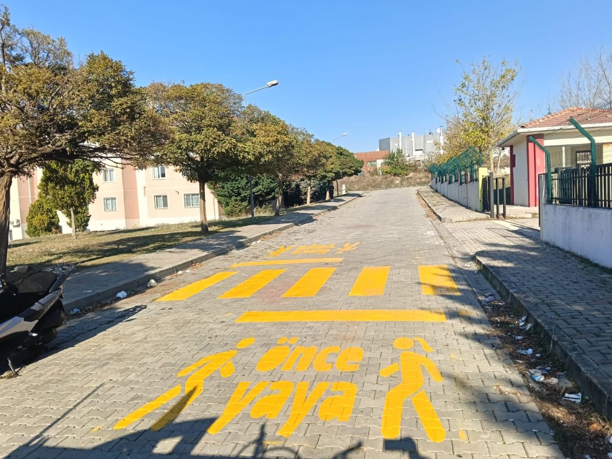 Yol Bakım ve Düzenleme Çalışması