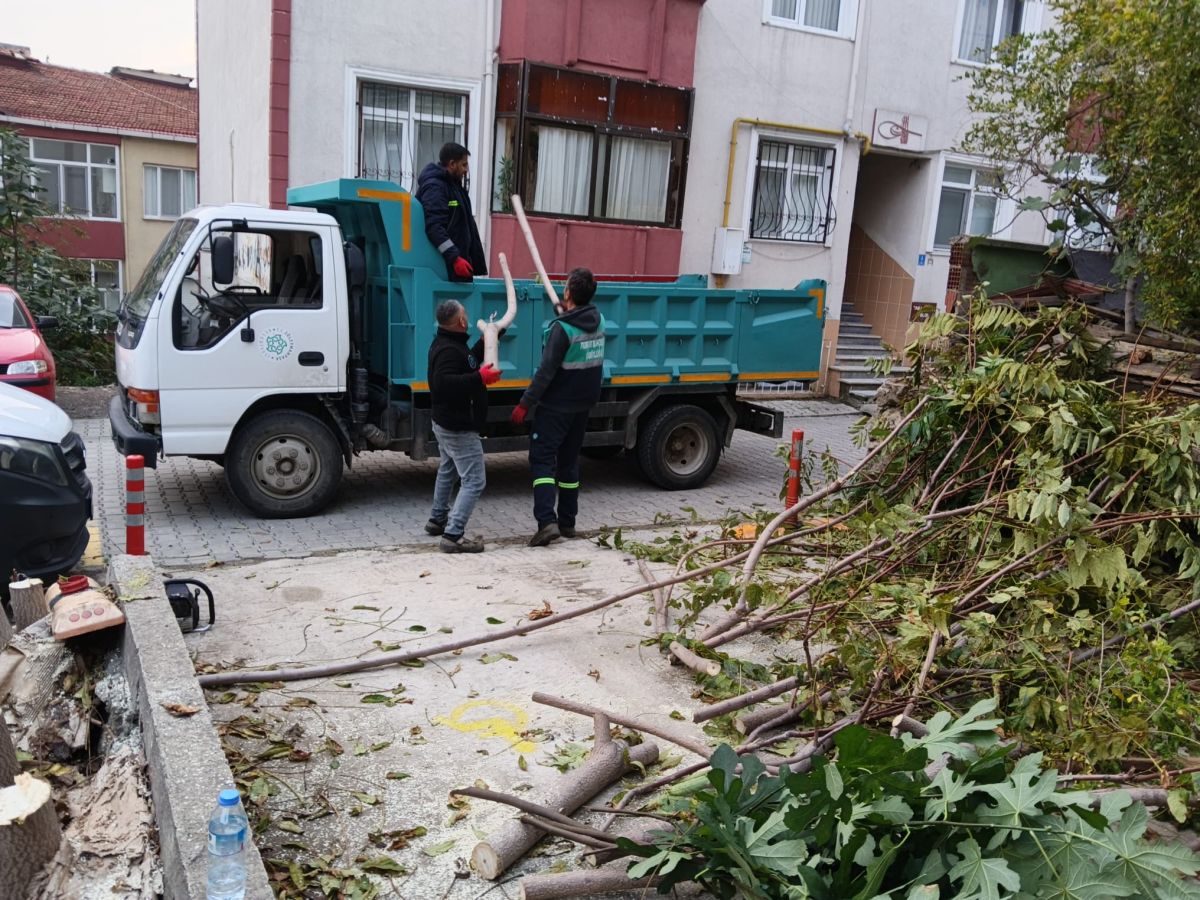 Park Revizyon ve Çevre Düzenleme