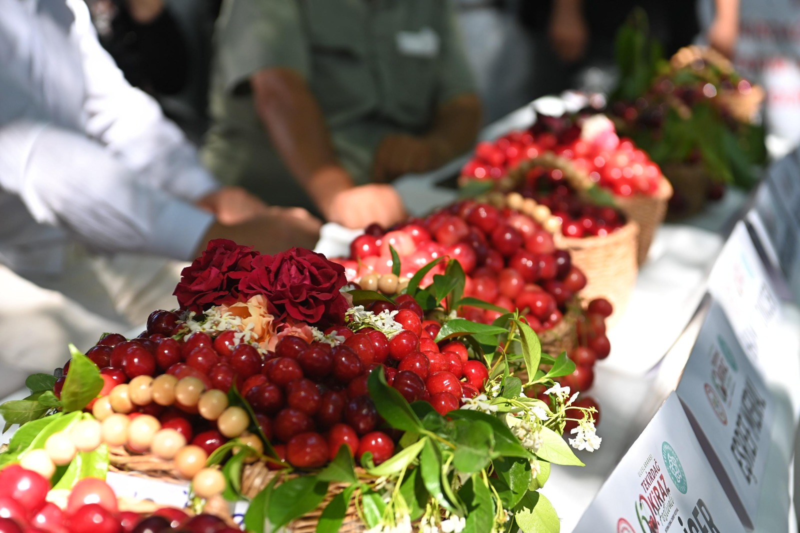 Kiraz Festivali Tekirdağ Turizmine ve Ekonomisine Çağ Atlattı