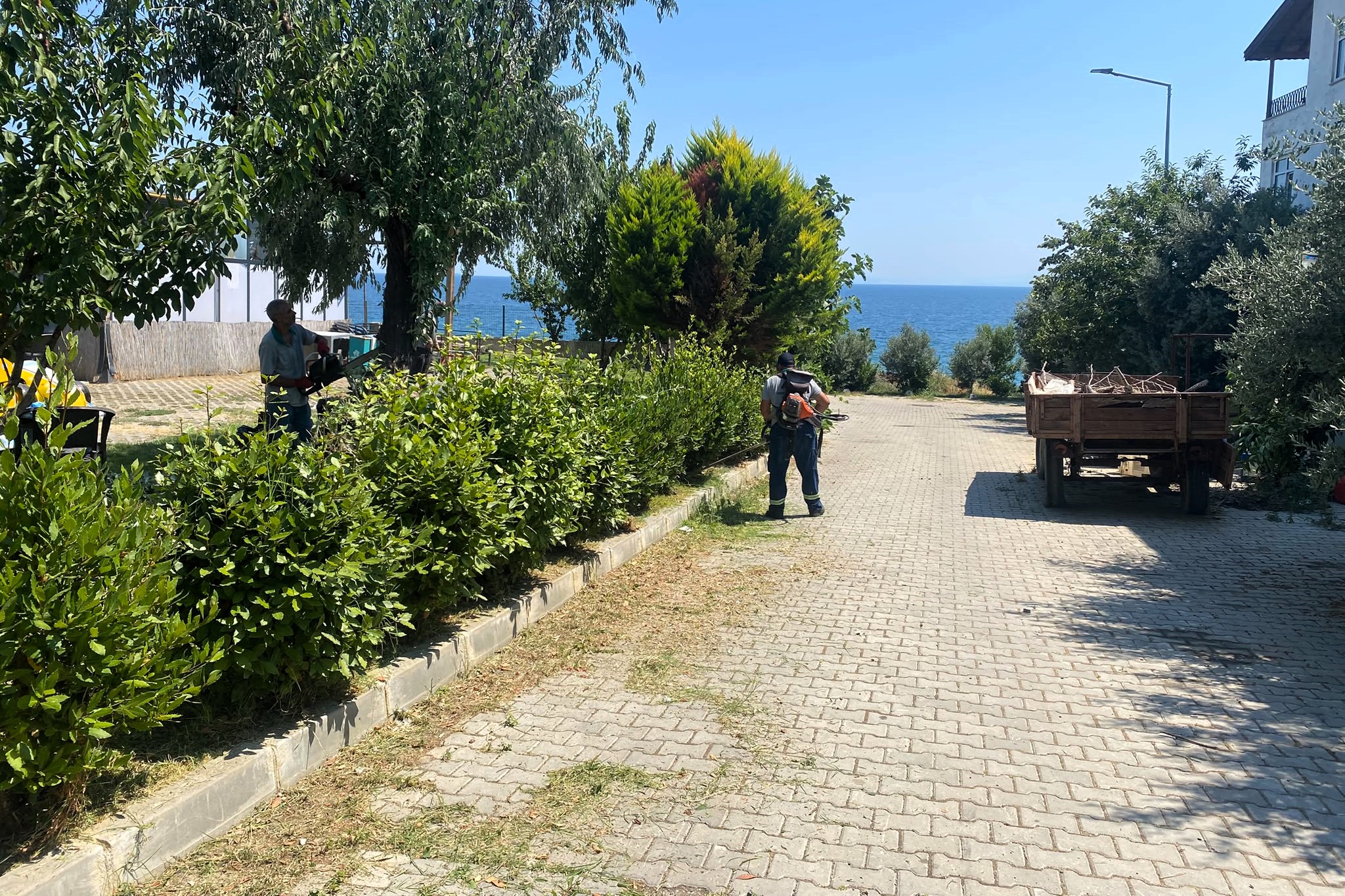 SÜLEYMANPAŞA’DA BUGÜN 🛠️