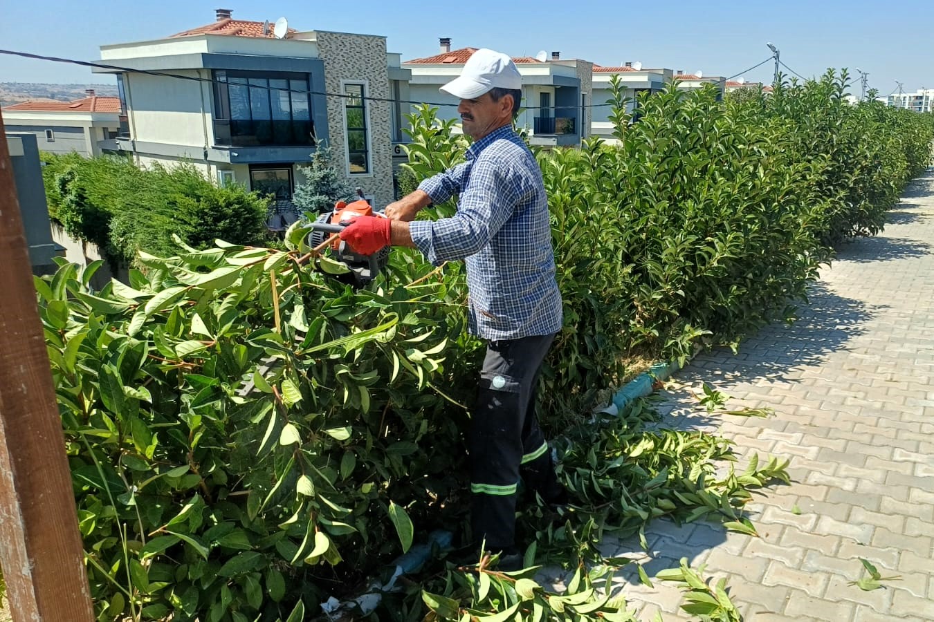 SÜLEYMANPAŞA’DA BUGÜN 🛠️