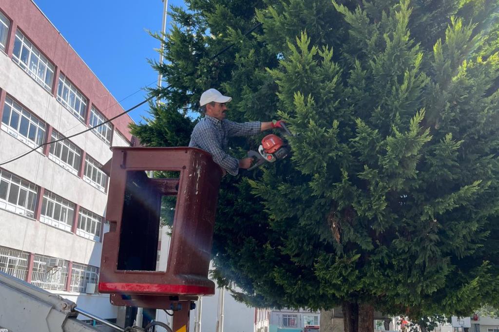 SÜLEYMANPAŞA’DA BUGÜN 🛠️