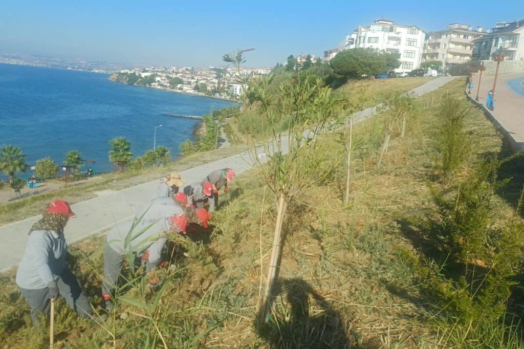 SÜLEYMANPAŞA’DA BUGÜN 🛠️