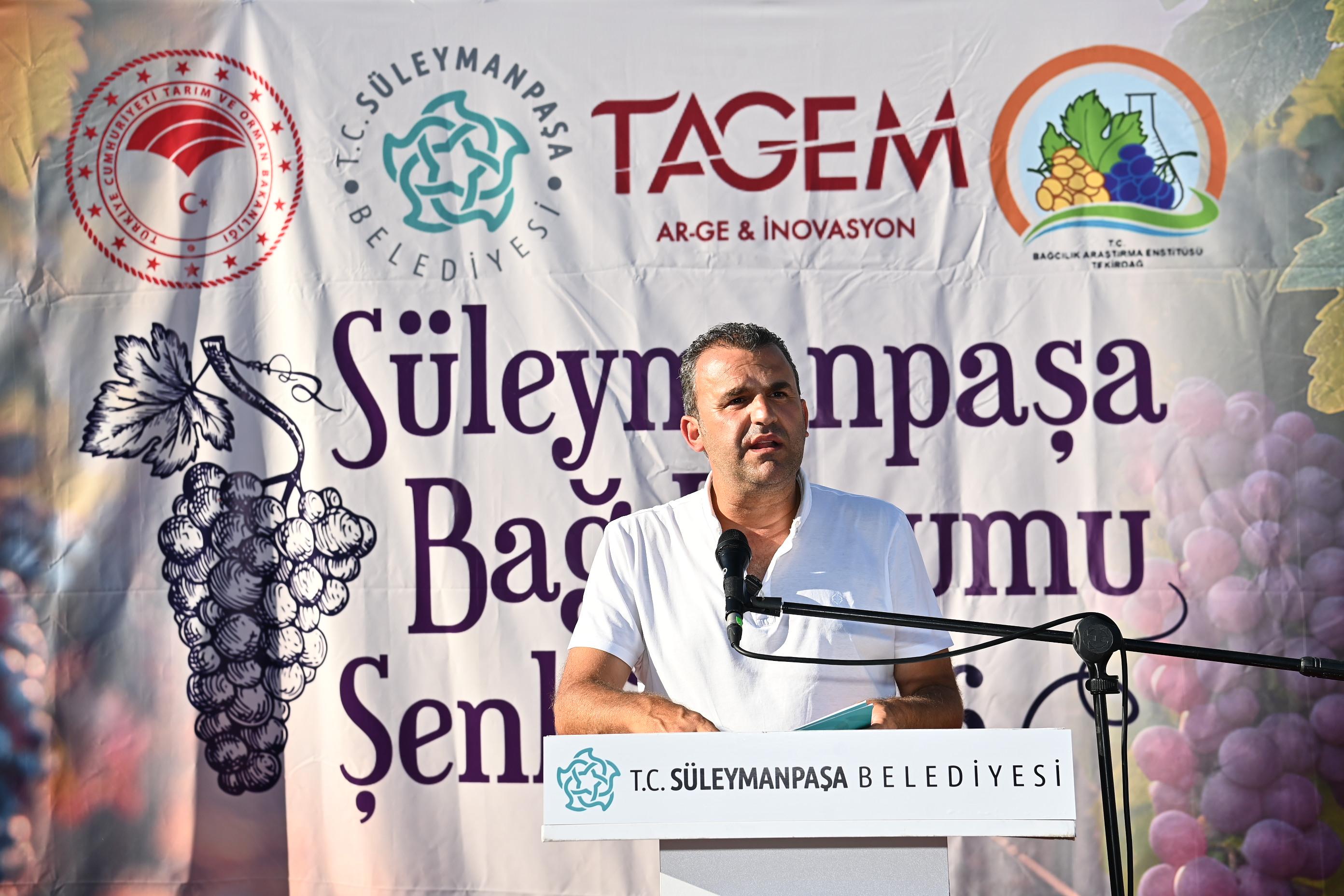 Süleymanpaşa Bağbozumu Şenliğinde En İyi Sarmalar ve Tatlılar Ödüllerini Buldu