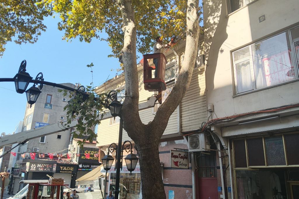 SÜLEYMANPAŞA’DA BUGÜN 🛠️