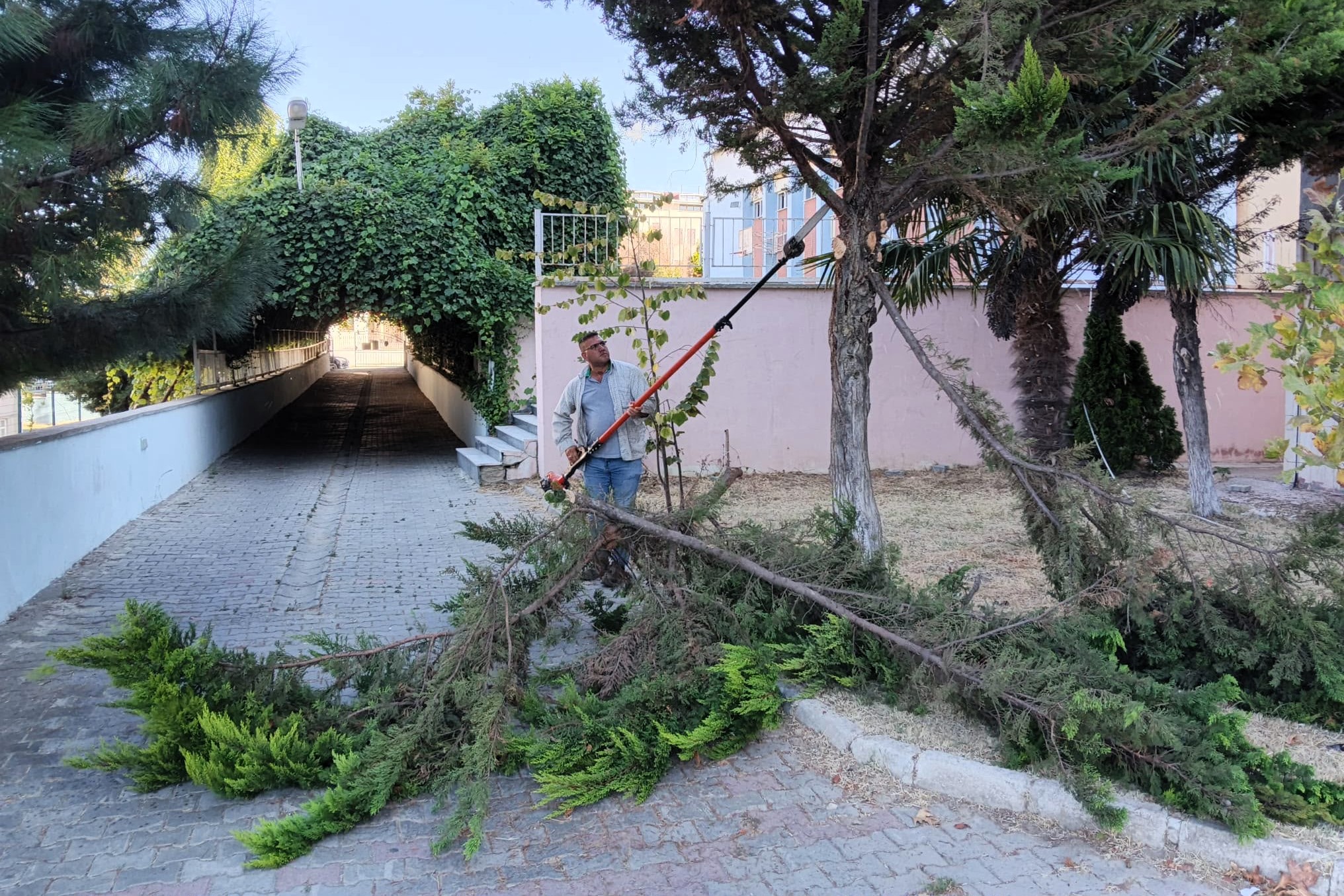 Süleymanpaşa Belediyesinden Okullara Yeni Eğitim Yılı Dokunuşu